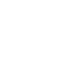 VZOR